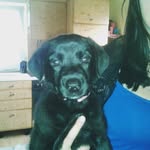 Beate Becker - @emmerichbeatebecker - Instagram