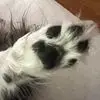 beatebecker48 - @beatebecker48 - TikTok
