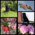 Beate Behrens - Facebook