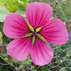 Beate Behrens - @beate.behrens24 - TikTok