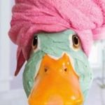beate behrens - @bbbeabehrens - Instagram