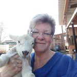 Beate Jungmann-Behrens - @beate_jungmann - Instagram