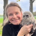 Beate Berg - @beateborja - Instagram