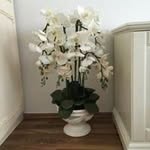 Beate Berger - @beate.berger - Instagram