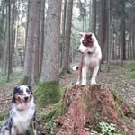 Beate Bergmann - @beate.bergmann.3382 - Instagram