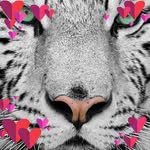 Beate Blanke - @beate.blanke - Instagram
