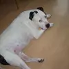 Beate Blankenstein - @beate.blankenstei - TikTok