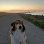 Beate Braun - @beate.braun.jimmy - Instagram