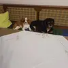 Beate Friedrich - @beate.friedrich4 - TikTok