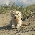 Beate Friedrich - @beate2185 - Instagram