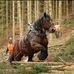 Beate Friedrich - Facebook