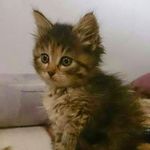 Beate Friedrich - @beate.friedrich.5220 - Instagram