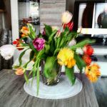 Beate Friedrich - @beate.friedrich1 - Instagram