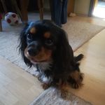 Beate Friedrich - @beate.friedrich.75 - Instagram