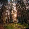 Beate Friedrich - @beate.friedrich2 - TikTok