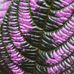 Beate Funke - Facebook