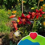 Beate Horst - @b.horst33 - Instagram