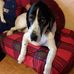 Beate Jones - Facebook