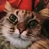 Beate Kühn703 - @deirdre1501 - TikTok