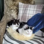 Beate Larsen - @beatelarsen72 - Instagram