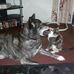 Beate Miller - Facebook