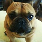 Beate Miller - @beate.miller - Instagram