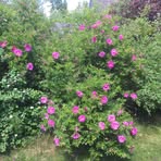 Beate Finstad Nilsen - Facebook