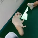 Beate Russ - @josc.hi1111 - Instagram