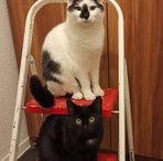 Beate Russel - Facebook