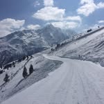 Beate Scholz - @beschobo - Instagram