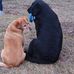 Beate Scholz - Facebook