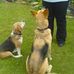 Beate Smith - Facebook