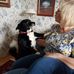 Beate Williams - Facebook