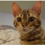 Aaron Beatrice - @aaronbeatrice1 - Instagram