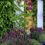 Béatrice Abel - @dromeprovencale2607 - Instagram