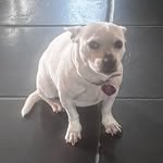 Beatrice Bacon - @beatricebaconyoung - Instagram