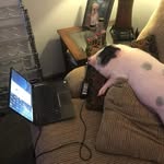 Beatrice Moore-Bacon - @beatricemoorebacon - Instagram