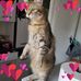 Beatrice Bara - Facebook