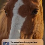 Beatrice Bartram - Facebook