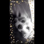Bea Trice - @beatrice.bauer.798 - Instagram