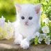 Beatrice Bauer - Facebook