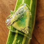 Beatrice Bauer - @beatricebauer72 - Instagram