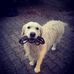 Beatrice Bauer - Facebook