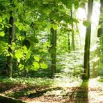 Beatrice Baumgartner - Facebook