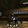 Beatrice Beachpaw - @beatricebeachpaw - TikTok