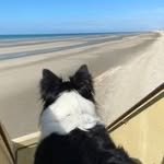 Beatrice Beck - @beatricebeck555 - Instagram