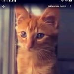 Béatrice Benoit - @beatrice.benoit.13 - Instagram