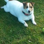 Beatrice Berger - @berger_beatrice_ - Instagram