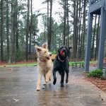 Beatrice & Bird - @birdandthebea - Instagram