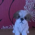 Beatrice Bishop - @beabishop1 - Instagram